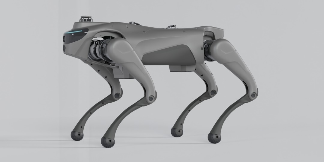 Intelligent Robot Dog With 2D LiDAR L1 Automatic Telescopic Handle Strap For Autonomous Navigation And Mapping