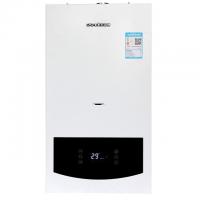 China 20kw 24kw 28kw 30kw 32kw Wall Hung Heating Gas Boiler on sale