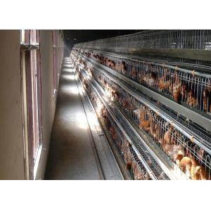China Modern Farm Building Poultry Layer Chicken Cage supplier