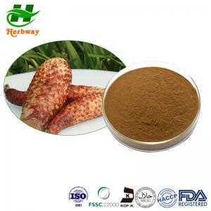 Brown Cistanche Tubulosa Extract Cistanche Deserticola Extract Echinacoside Acteoside