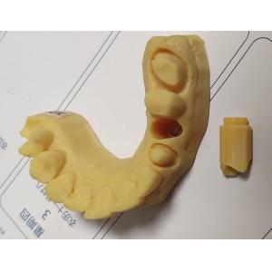 High Precision ISO13485 Trushine Dental 3D Print model