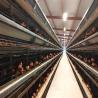 China New Design Advanced Poultry Farm H Type 3 Tier 4 Tiers Egg Layer Chicken Farm Layer Cages for Sale wholesale