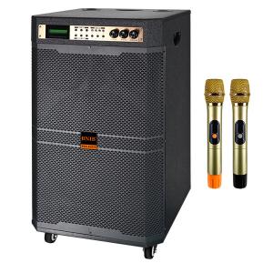 Professional Pre Amplifier Speaker 200 Watt Karaoke Speakers Stereo Sound Box