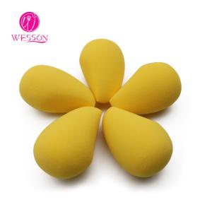 Washable Mango Wind Shape 5pc Makeup Beauty Sponge Set