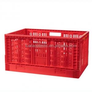 China Collapsing Folding Crate in 600x400 mm Size Perfect for Storing Fruits and Vegetables supplier