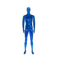 China Blue Male Full Body Mannequin Electroplated Standing Upright Clothing Display on sale