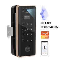 China Office Store Wireless Glass Door Lock Full Automatic Face Scan For 10-12mm Thinkness Doors on sale