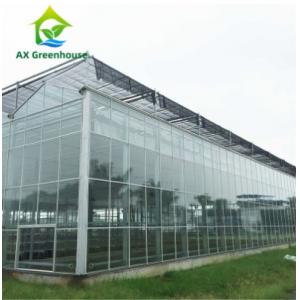 Automatic Agricultural Glass Greenhouse HDG Steel Turnkey Hydroponic Greenhouse