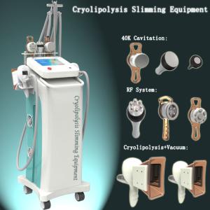 China Máquina Multifunction da beleza para a redução das celulites supplier