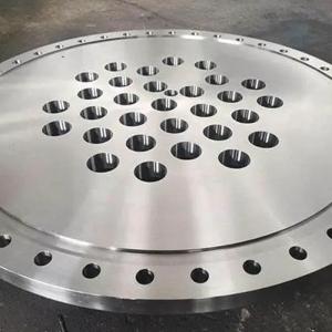 Chemical Industry Stainless Steel Plate Flanges Fitting 150/300/600/900/1500/2500PSI