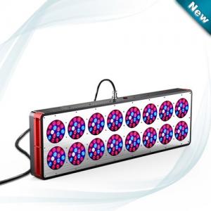 China 600W Full spectrum LED grow light from Cidly use for 1000W HPS grow tent system supplier