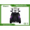 China Purple And Black 2 Passenger Electric Car 48V With 1 Year Warranty wholesale