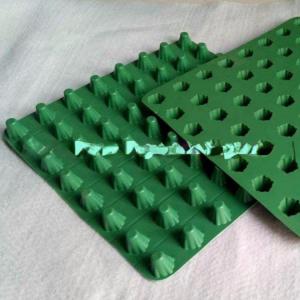 China Green Roof System Drainage Cell Sheet Mat with Waterproof and Isolation Function supplier