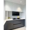 China Modern Handleless MDF Kitchen Cabinet Push-To-Open Design wholesale