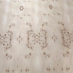 Mappa Burl Wood Veneer Sheet Natural Plywood For Flooring Furniture