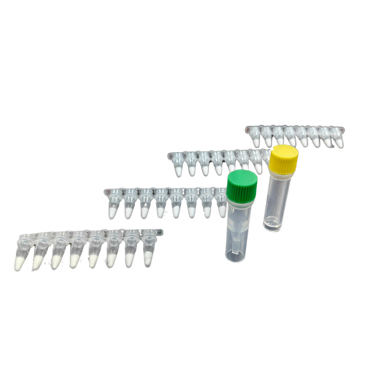 Stable PCR Isothermal Amplification Kit For Genetic Engineering