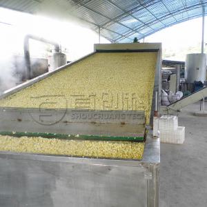 Shouke Flower Herb Continuous Belt Dryer Lily Sweet Chamomile Rose Drying System