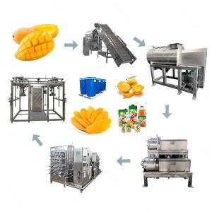 500T/D Industrial Mango Processing Line Turnkey Service SUS304 / 316L