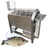 Seafood processing plant machinery and equipment efficiently remove fish scales tilapia Rotary Drum type fish descaler