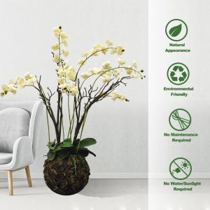 China High Simulation 56cm Artificial Butterfly Orchid Flower Plant 6 Colors supplier