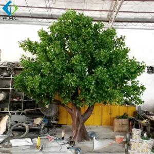 China Big Size Artificial Tree Plant , Decorative Outdoor Trees With Fiberglass Trunk supplier