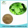Wholesale Natural Saponins 20 %- 98 % Gynostemma Extract for Lower Blood