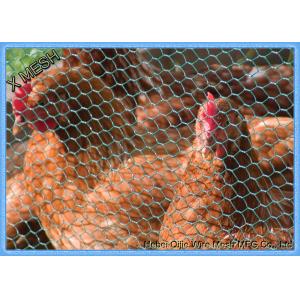 China PVC Coated Heavy Duty Chicken Wire Stainless Steel Netting Mesh For Farms supplier