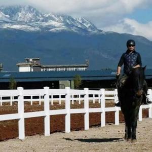 馬のための屋外ポリ塩化ビニールを囲う白いビニールの柱と横棒の垣根8ftの金網の農場