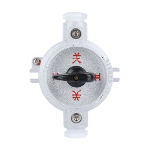 China Exde IIC T5 Gb Explosion Proof Switch SW10 for Oil Gas Middle East IP65 10A Chemical Processing Marine and Offshore wholesale