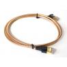 China Outdoor Armored LAN Patch Cable Solid GEL Filled Cable , RJ45 patch cord wholesale