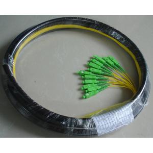 Waterproof 12 Core Fiber Optic Pigtail With SC APC Connector PE Jacket