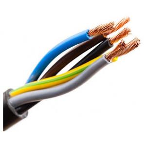2 Core Silicone Rubber Insulated Cable 600V Tinned Copper