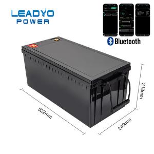 China 300ah 12V Lifepo4 Battery Storage Energy System With BMS APP Control supplier