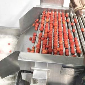 China Industrial Tomato Paste Making Machine Automatic Ketchup Processing Plant supplier