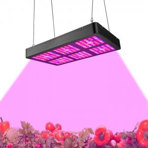 Low Power Consumption Indoor LED Grow Light Full Spectrum Growth Light 400W - 800w