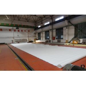 China POLYESTER FORMING FABRIC/POLYESTER WIRE(MESH) wholesale