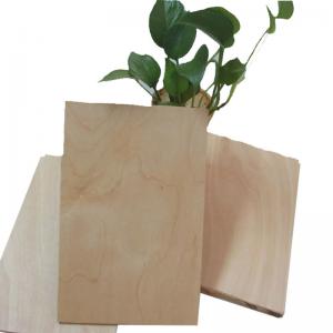 Hardwood CARB 5mm 12mm Formica Faced Birch Plywood