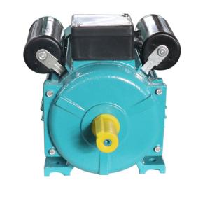 China Cast Iron Electric Motor Water Pump 2 Pole Capacitor Start IP44 YC80B-2 supplier