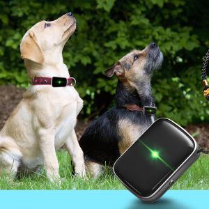 China Gadget Kuwait Kid Elder Asset Toy Pet Dog Collar Smalles Cat Gps Tracker supplier