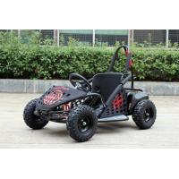 China 35km/H Two Person Go Kart Buggy , 1000w Kids Off Road Go Kart EPA Approved on sale