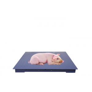China Carbon Steel Plate Heavy Duty Industrial Weighing Scales With Adjustable Foot supplier