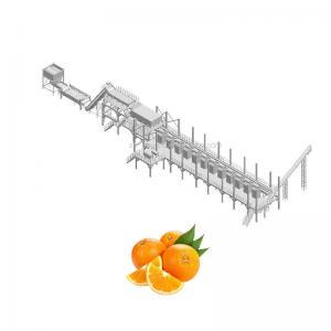 China 10TPH Automatic Orange Juice Extract Orange Processing Line For Juice Making Factory supplier