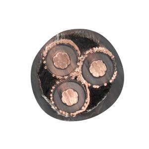 China Medium Voltag IEC60502 BS7835 BS6622 VDE N2xsey N2xsy Yjv32 11kv 20kv 33kv Copper XLPE Insulated Armoured Outdoor Cable supplier
