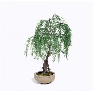 Weeping Willow Imitation Bonsai Trees Non Toxic Strong UV Resistance