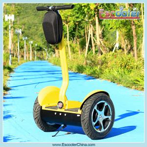 Shenzhen Xinli Escooter Wholesale stylish 3 wheel roadpet ginger mypet electric scooter ce