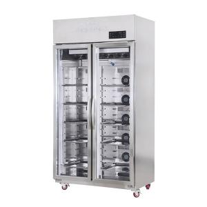 China Rapid Thawing Chamber Two Doors Stainless Steel Custom Power Supply supplier