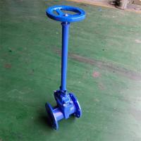 China OEM Extension Spindle Gate Valve DN50-DN600 Extended Stem Gate Valve on sale