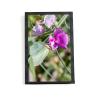 China 7 Inch HD TFT LCD Display Screen 1200x1920 Resolution With 2000nits Brightness wholesale