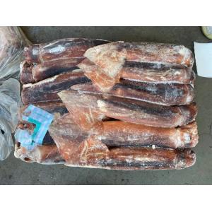 China BQF 200G 300G Whole Round Fresh Frozen Illex Squid wholesale