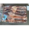 China BQF 200G 300G Whole Round Fresh Frozen Illex Squid wholesale